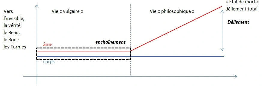 Platon philosophie dualisme